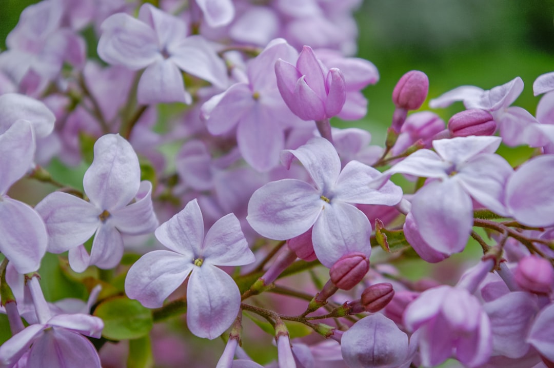 年収3000万円以上の富裕層が何に使ってるか調査してみた｜ラグジュアリーカード利用実態