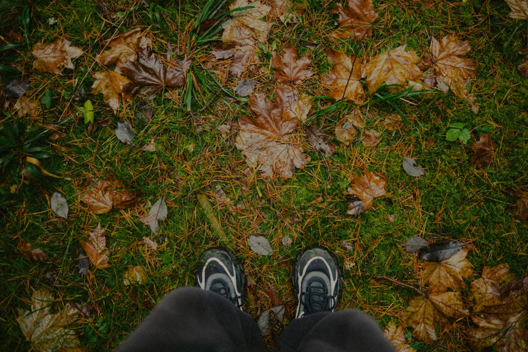 Feet standing on wet autumn leaves and grass.
