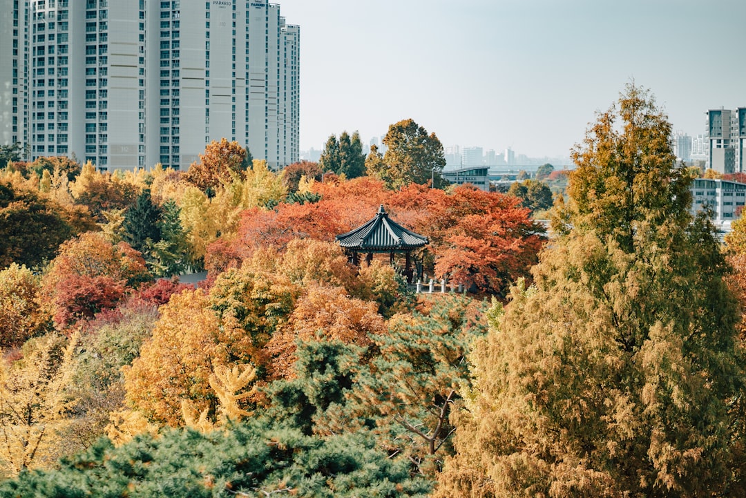 日本企業のAI導入がPoC止まりな理由＝フリーランスへの超チャンスだと気づいた